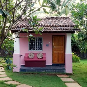 Bungalow Fan